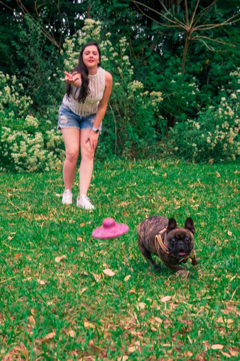 Ensaio Pet da Chandelle - Henrique Drobnievski'