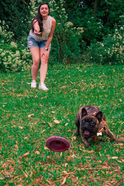 Ensaio Pet da Chandelle - Henrique Drobnievski'