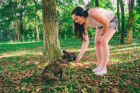 Ensaio Pet da Chandelle - Henrique Drobnievski'