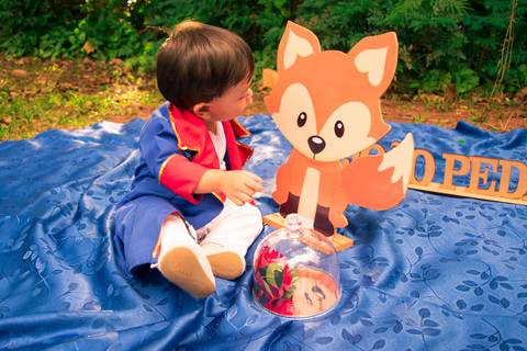 Ensaio Infantil O Pequeno Príncipe João - Henrique Drobnievski'