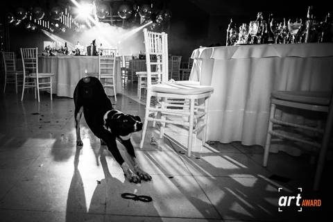 Final de fiesta en la boda. Fotografía blanco y negro, carnaval carioca. Erika Fayolle Fotografía de Bodas en Rosario, Buenos Aires Fotografía'