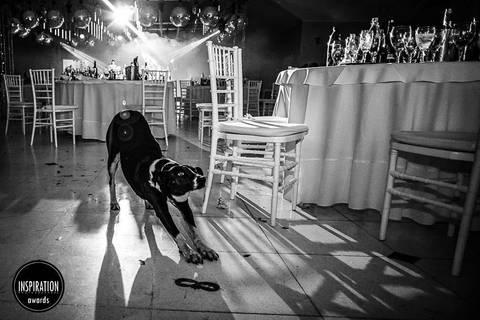 Fiesta en Venado Tuerto, Carnaval carioca. Erika Fayolle Fotografía de Bodas en Rosario, Buenos Aires Fotografía'