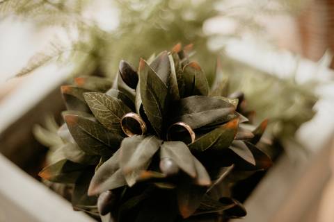 Anillos de casamiento. Boda en Rosario. Santa Fe. Erika Fayolle fotografía'