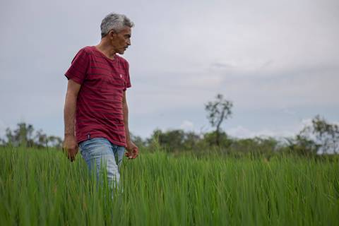 Sr. Geraldo Comunidade Barra da Lagoa na plantação de arroz'