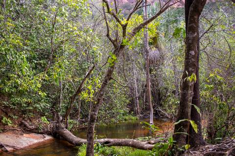 A natureza preservada'