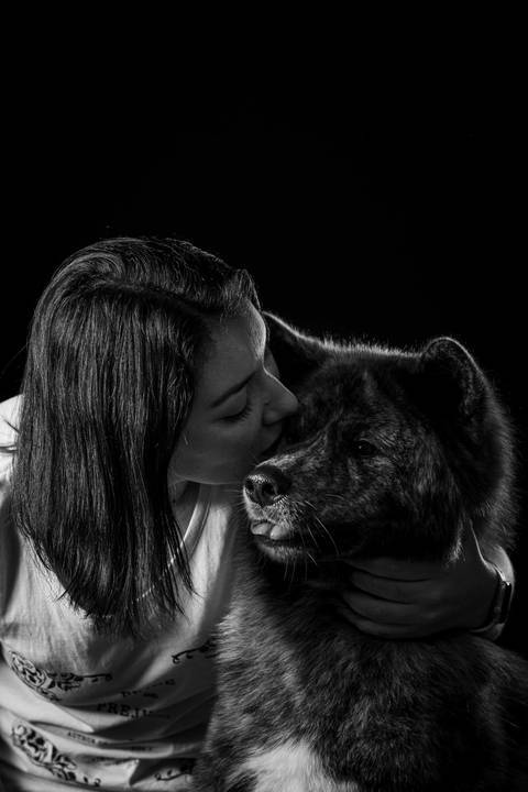 Retratos de animais de estimação'
