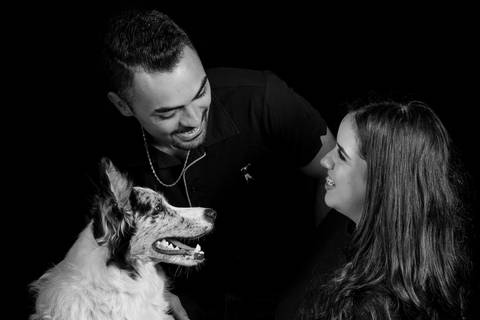 Iluminação para fotos de pets'