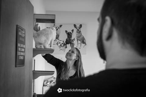 Fotografia de animais de estimação'