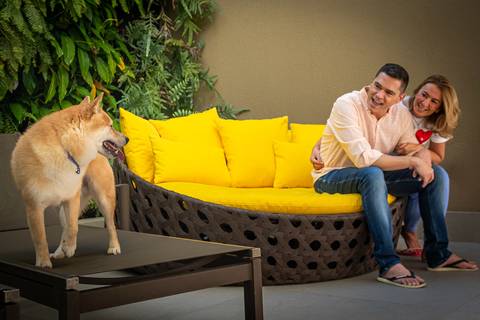 Ensaio fotográfico PET'