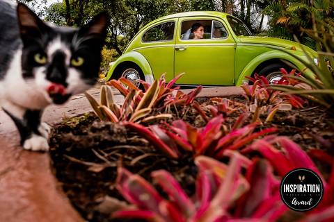Cena inusitada e divertida de uma noiva em um Fusca verde, com um gato curioso em primeiro plano. A imagem premiada adiciona uma dose de humor e espontaneidade ao casamento, tornando o momento ainda mais memorável.'