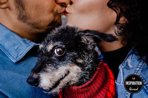 Casal trocando um beijo com seu cão de estimação em destaque, vestindo um suéter vermelho. A imagem representa a união entre amor e afeto pelos pets, transmitindo aconchego e cumplicidade em um momento familiar e carinhoso.'