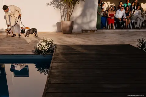 Entrada de cachorro'