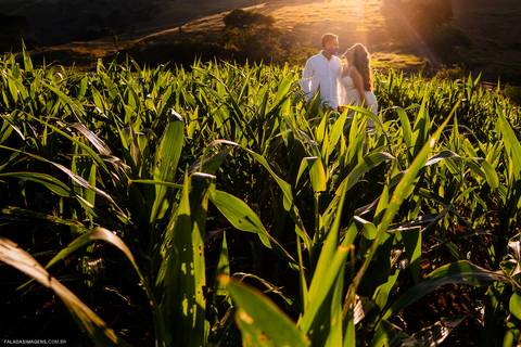 fotografia pré casamento em plantação'