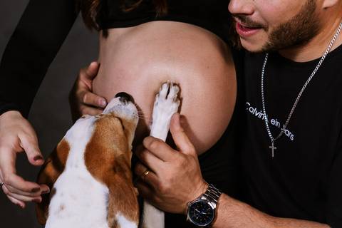 Cena espontânea da Amora interagindo com a barriga da gestante durante o ensaio de gravidez no estúdio.'