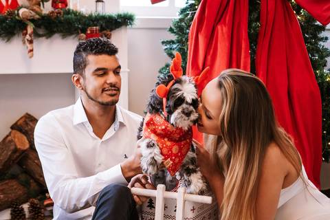 Casal oferecendo petisco ao cão vestido para o Natal.'