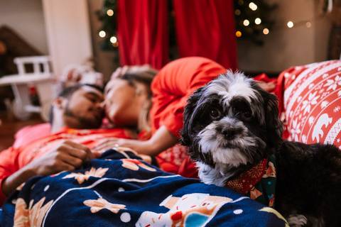 Cena afetuosa com o cão deitado ao lado do casal.'