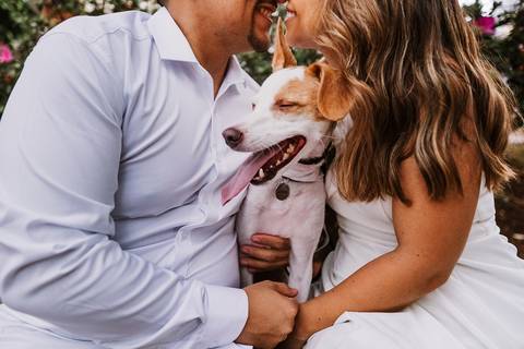 Casal com pet em momento de carinho no ensaio em Belo Horizonte'