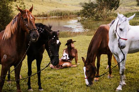     fotografia mulher sentada no gramado cercada pelos cavalos'