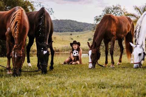     Cavalos pastando enquanto a modelo observa a cena'