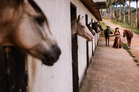     Vista do rancho com cavalos e atmosfera do ensaio feminino'