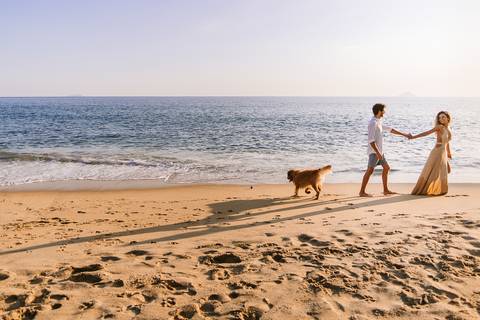     Caminhada do casal e do cachorro pela faixa de areia'