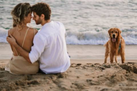    Casal sentado na praia ao lado do cachorro durante o ensaio'