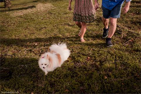 Cachorrinha participando do ensaio pré casamento, pre wedding em Campos do Jordão'