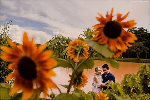girassol, pré casamento, universidade federal de viçosa'