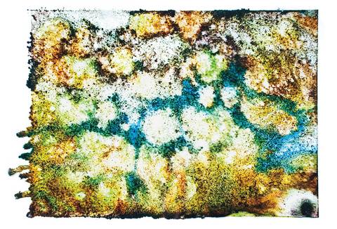 O Desfoque (Le Flou / The Blur)'