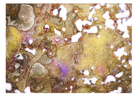 O Desfoque (Le Flou / The Blur)'