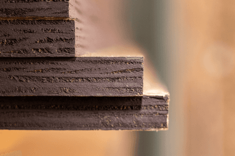 Fenólico em Virola'