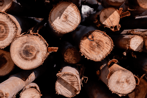 Escoras de Eucalipto'