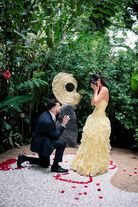 Pedido de Casamento Rosewood'