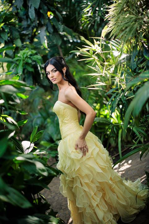 Pedido de Casamento Rosewood'