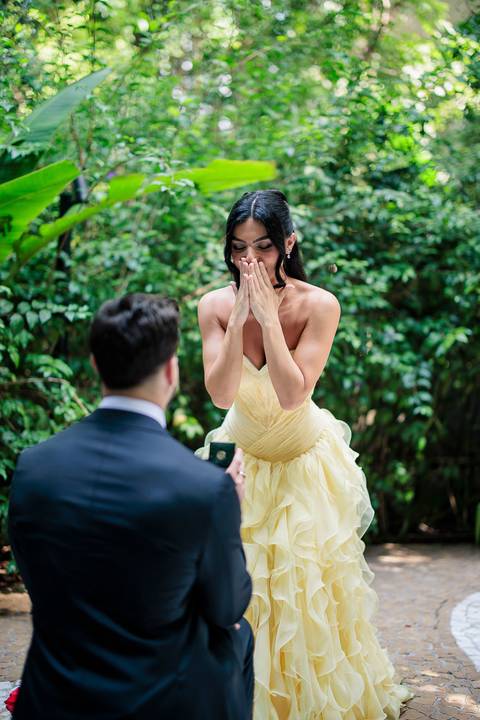 Pedido de Casamento Rosewood'