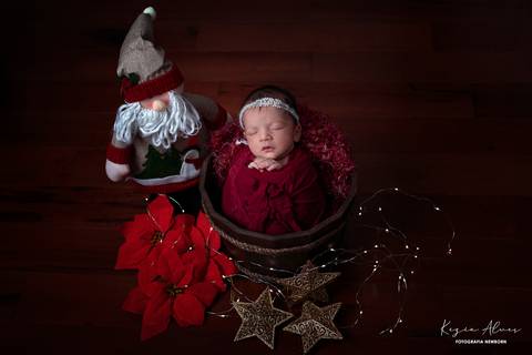 NEWBORN HELENA ANDRADE SESSÃO DE NATAL
'