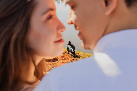 Fotógrafo de casamento em Ribeirão Preto: o ensaio da Júlia e do Amadeu mostra como a luz natural e a direção leve criam fotos emocionantes e autênticas.'