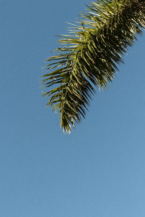 fotografia de casamento, fotógrafo de casamento, fotógrafo de casamento em Mococa, fotógrafo de casamento em Ribeirão Preto, casamento ao pôr do sol, casamento ao ar livre, fotografia autoral de casamento, casamento intimista'