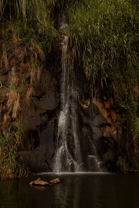 ensaio fotografico de 15 anos Larissa, fotografo em Ribeirão Preto'