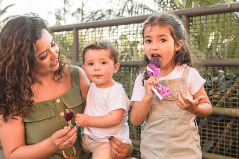 bebê e irmã chupando sorvete picolé no colo do pai '