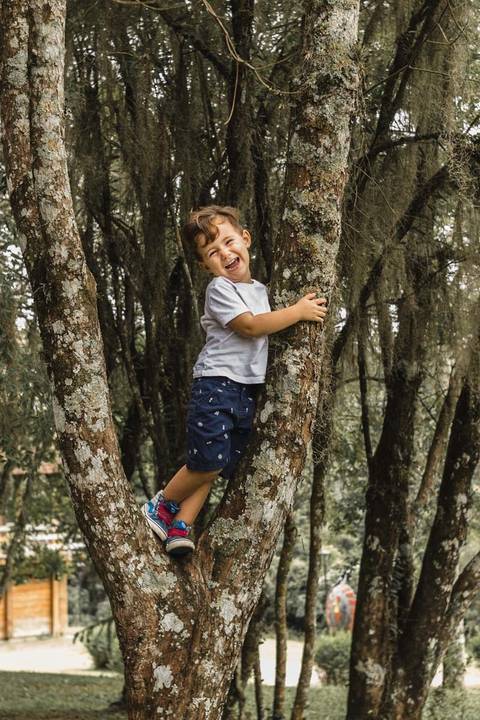 menino subindo na árvore no gramado do Memorial Ucraniano no Parque Tingui '