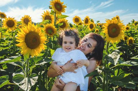Menina em sessão de fotos em campo de girassóis com foco em brincadeira natural. Criança segurando e tocando flores amarelas em ambiente rural. Fotografia profissional capturando detalhe de conexão entre criança e natureza em composição artística.'