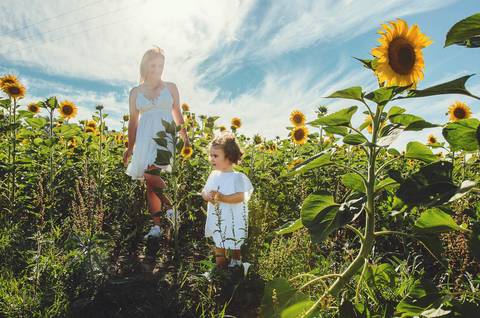 Mulher adulta com criança pequena em sessão familiar ao ar livre em campo de girassóis. Mãe segurando filha em momento de brincadeira e conexão natural. Fotografia profissional capturando vínculo familiar emocional em ambiente rural.'