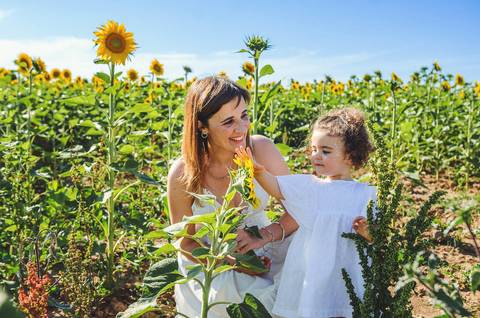 Mulher adulta com criança em paisagem ampla de girassóis durante sessão familiar. Mãe e filha brincando em campo rural com céu azul ao fundo. Fotografia artística capturando vínculo emocional e alegria em ambiente natural aberto.'