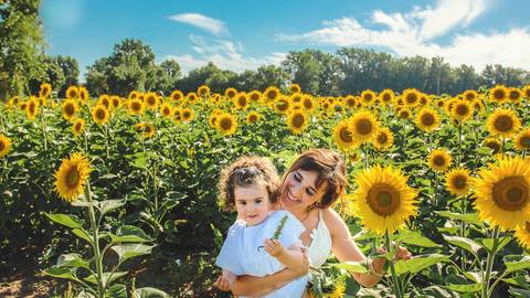Menina pequena em sessão familiar brincando em campo de girassóis com céu azul ao fundo. Criança em estilo lifestyle documen tando momentos espontâneos em ambiente rural. Fotografia artística capturando alegria infantil em composição natural e descontraíd'