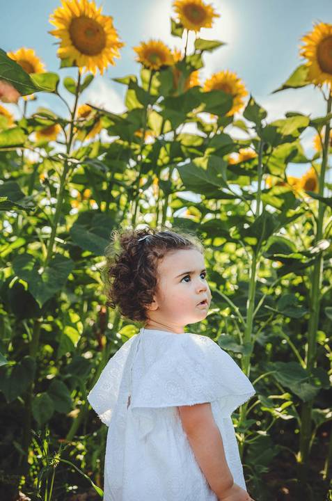 Menina brincando na natureza durante ensaio fotográfico profissional em ambiente rural. Criança capturando momentos de alegria entre girassóis e verde da natureza. Fotografia artística que celebra a beleza natural e inocência infantil em composição poétic'