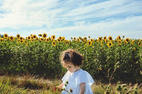 Sessão de fotos em ambiente natural com girassóis ao fundo. Menina brincando no campo durante ensaio fotográfico profissional. Imagem capturando momentos autênticos de infância em paisagem rural com iluminação natural e composição artística.'