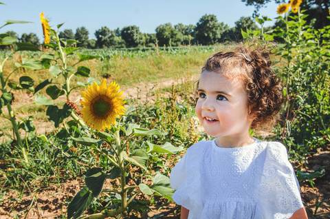 Menina em retrato individual no campo de girassóis durante sessão fotográfica profissional ao ar livre. Criança em ambiente rural natural entre flores amarelas vibrantes com céu azul claro. Fotografia artística capturando beleza infantil'