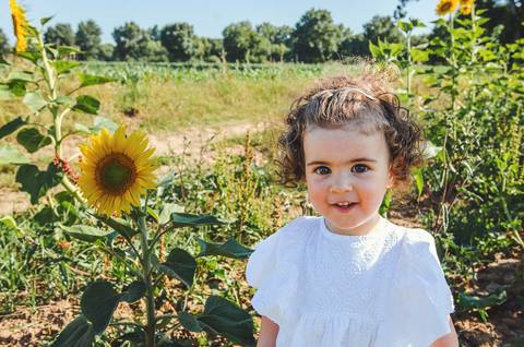 Maria brincando em meio aos girassóis durante a ensolarada sessão fotográfica familiar. A menina explora naturalmente o campo, cercada pela beleza vibrante das flores amarelas e o azul infinito do céu. Um momento de pura inocência e alegria capturado em c'