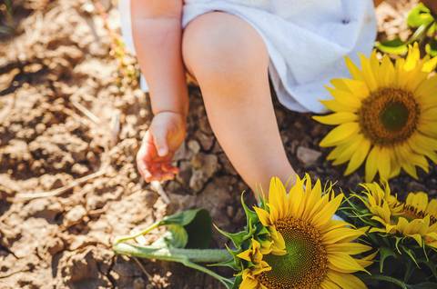 Menina segurando flor de girassol durante sessão fotográfica ao ar livre. Close-up emocional capturando inocência infantil e conexão com natureza. Fotografia profissional documentando detalhes delicados de criança em ambiente natural rural.'